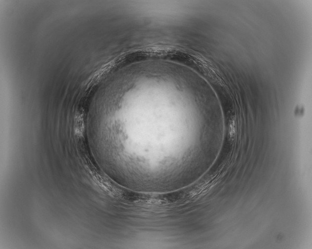 X0000090781204200707201516