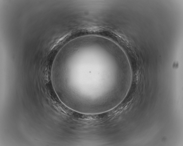 X0000090781205200707201517