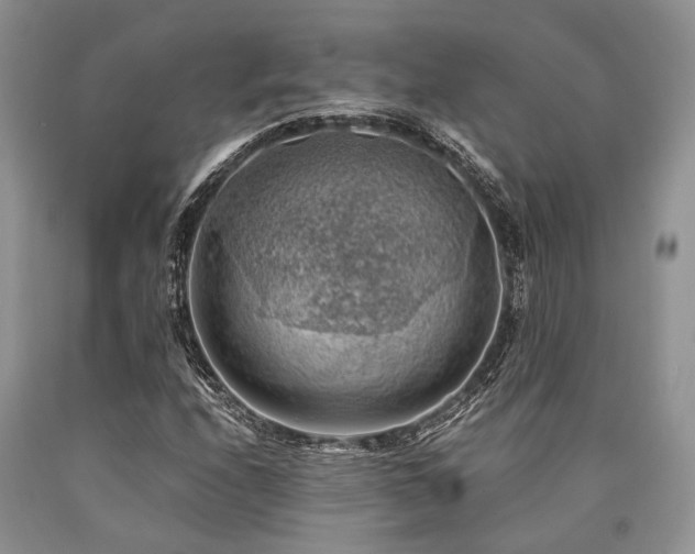 X0000090781208200707201517