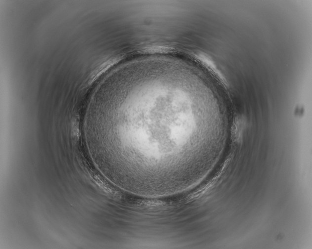 X0000090781209200707201517