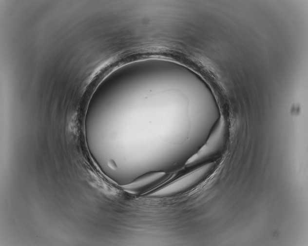 X0000090781210200707201517