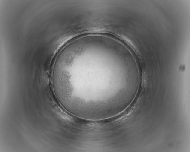 X0000090781212200707201517