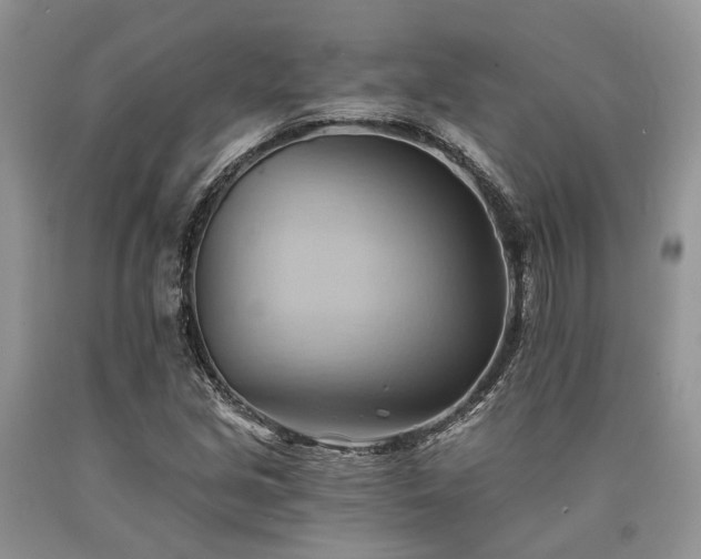 X0000090781213200707201517