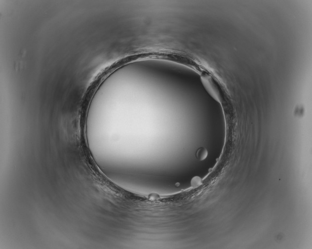 X0000090781214200707201517