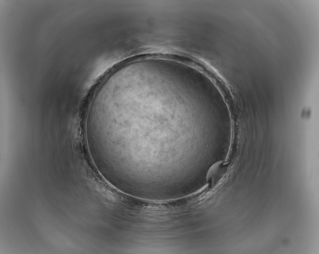 X0000090781215200707201517
