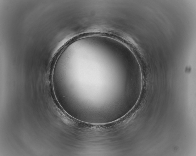 X0000090781216200707201517