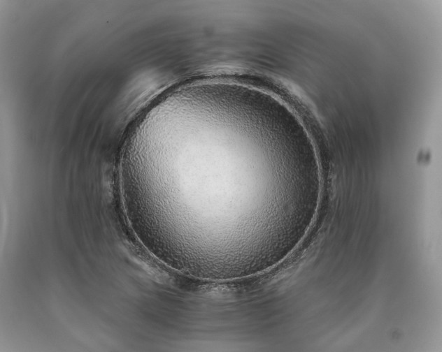 X0000090781217200707201517