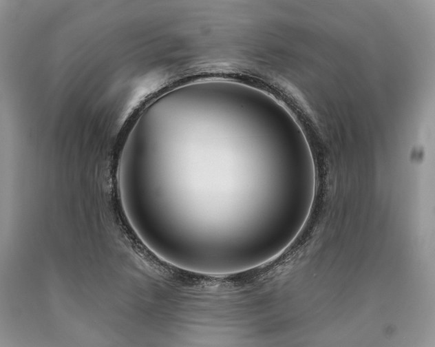 X0000090781218200707201517