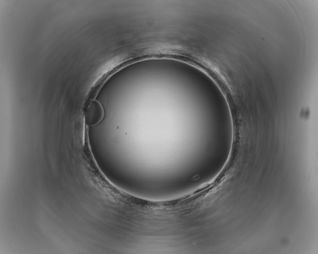 X0000090781219200707201517