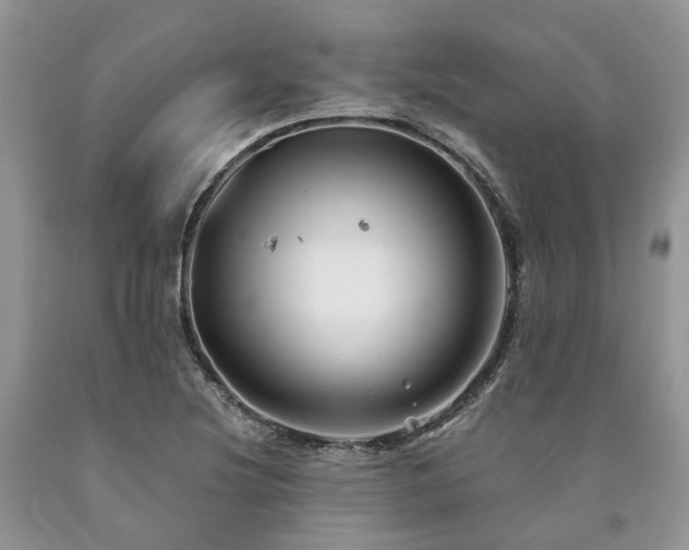 X0000090781220200707201517
