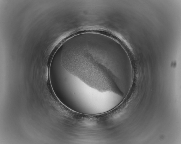 X0000090781221200707201517
