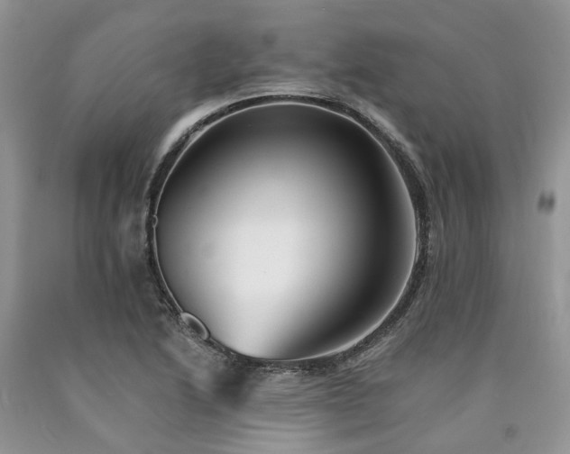 X0000090781222200707201517
