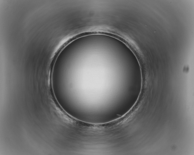 X0000090781224200707201517
