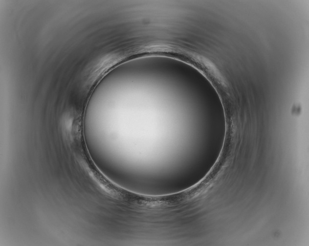 X0000090781225200707201517