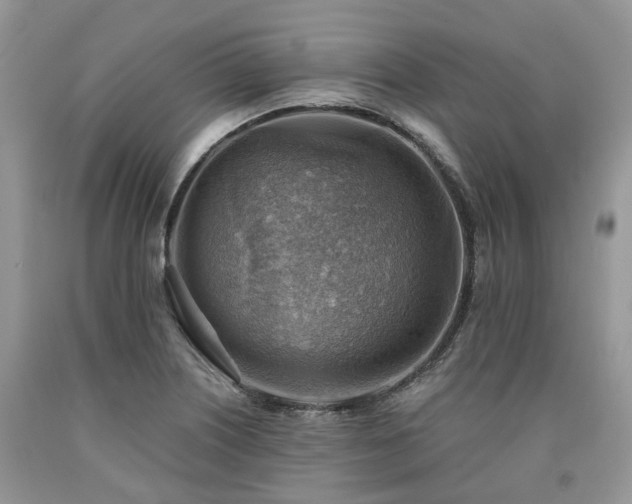 X0000090781226200707201517