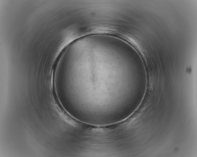 X0000090781227200707201517