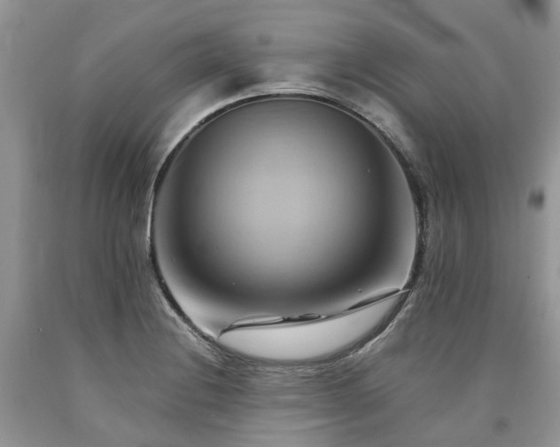 X0000090781228200707201517