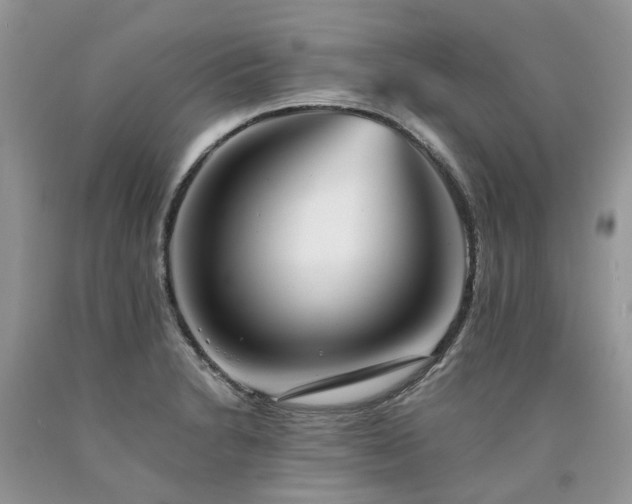 X0000090781230200707201517