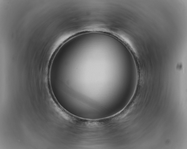 X0000090781231200707201517