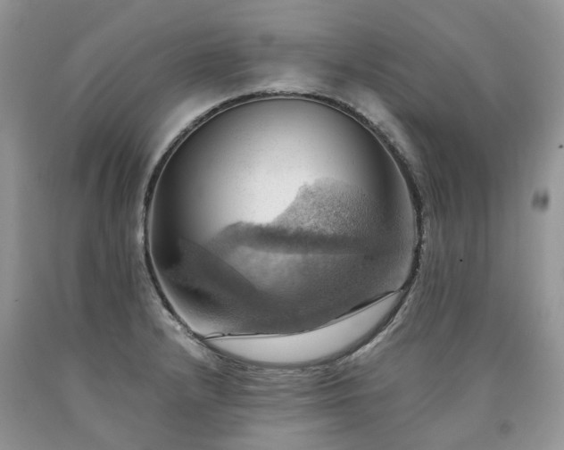X0000090781232200707201517