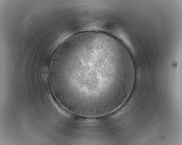 X0000090781233200707201517