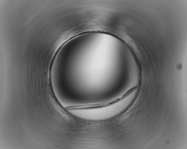 X0000090781234200707201517