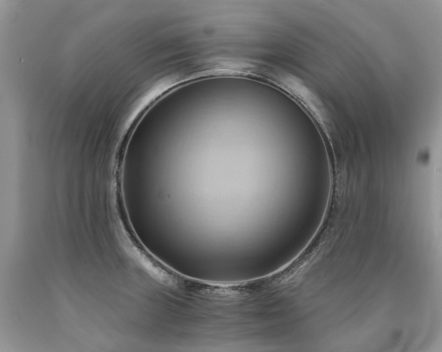 X0000090781235200707201517