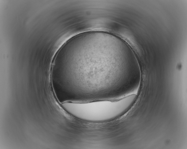 X0000090781236200707201517