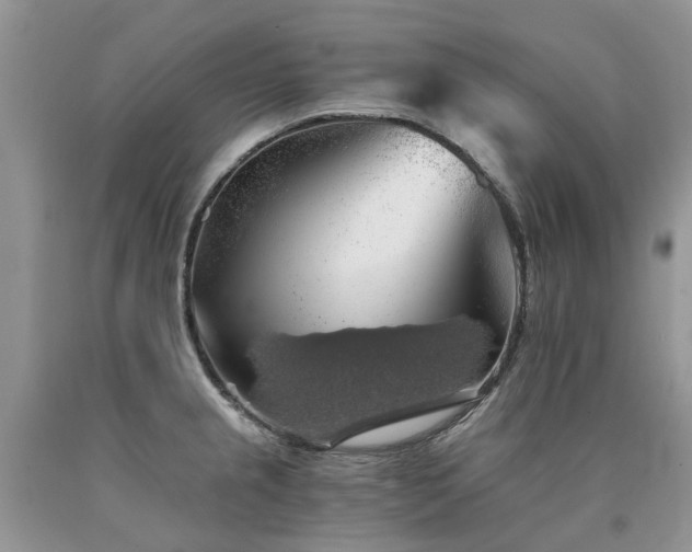 X0000090781237200707201517
