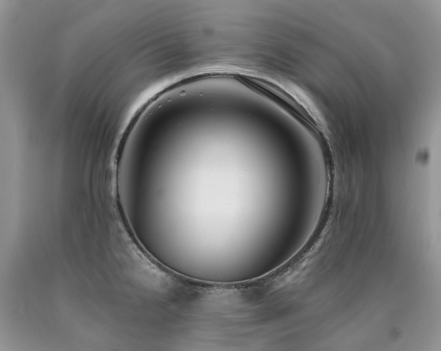 X0000090781238200707201517