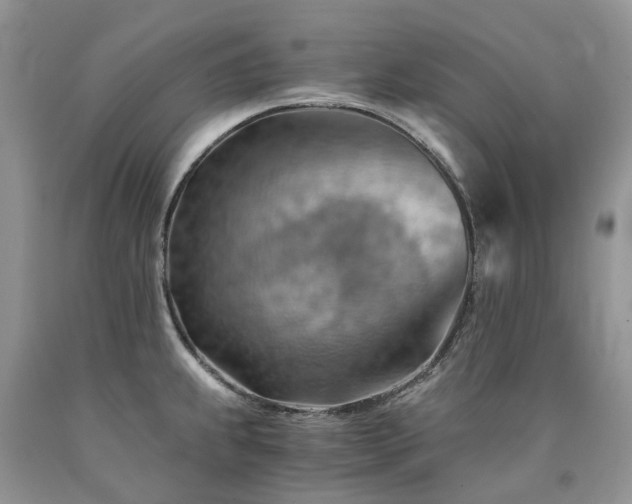 X0000090781239200707201517