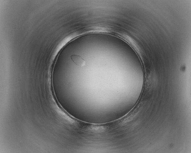 X0000090781243200707201517