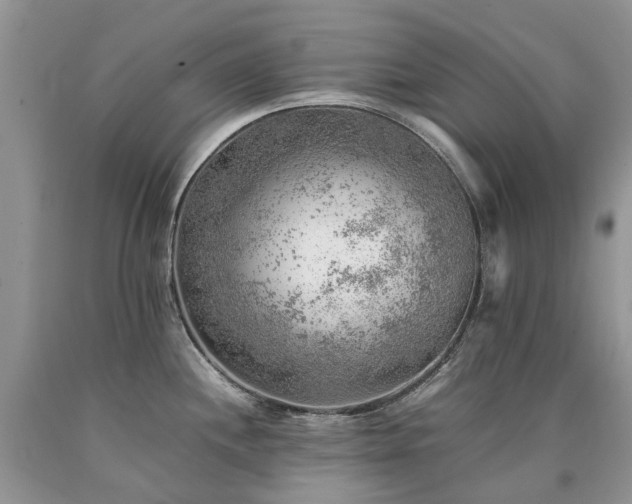 X0000090781244200707201517