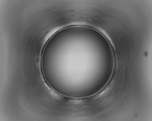 X0000090781245200707201517