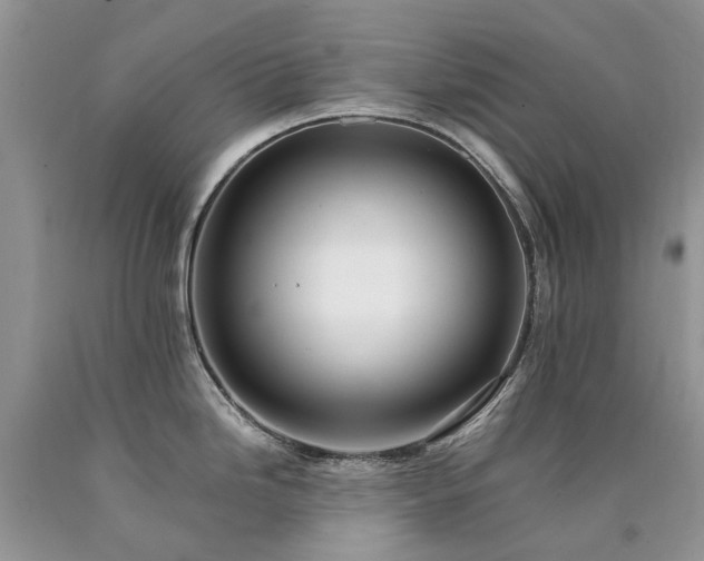 X0000090781246200707201517