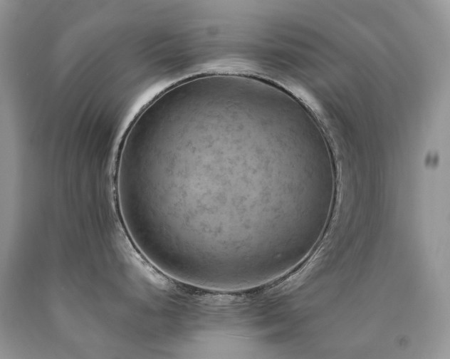 X0000090781248200707201517