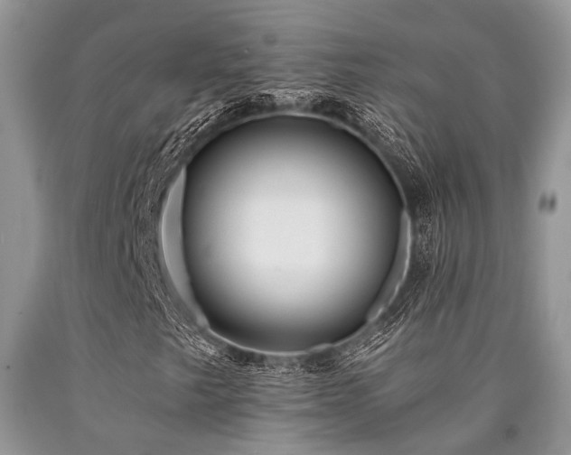 X0000090781249200707201516