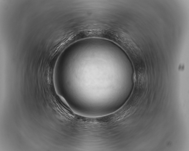 X0000090781250200707201516