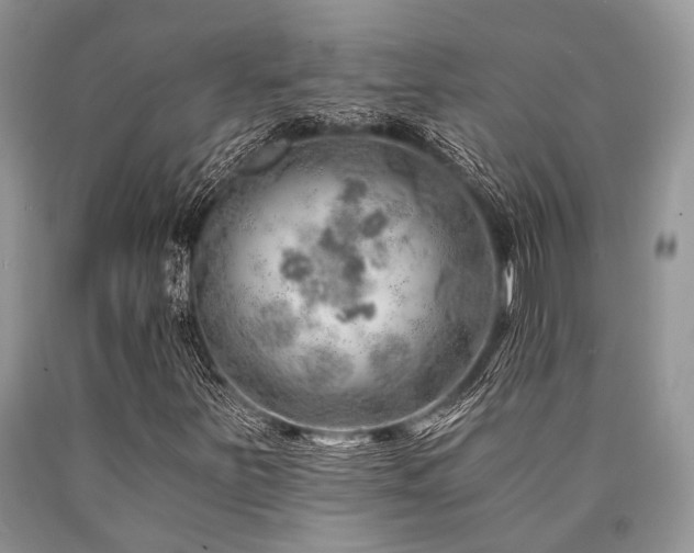 X0000090781251200707201516