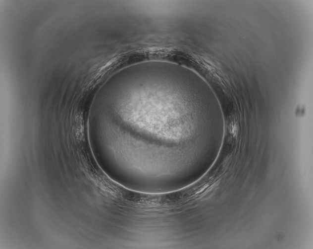 X0000090781252200707201516
