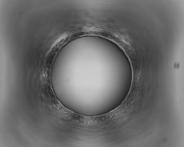 X0000090781254200707201516