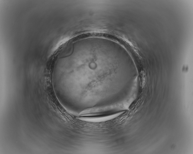 X0000090781255200707201516