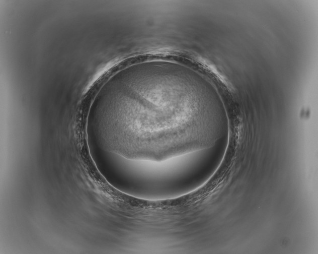 X0000090781256200707201516