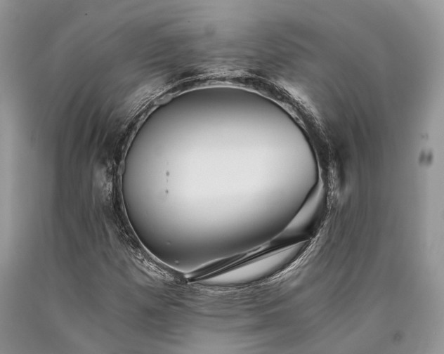 X0000090781257200707201516