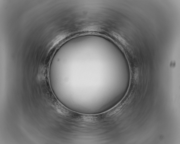 X0000090781258200707201516