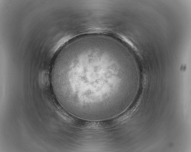 X0000090781259200707201516