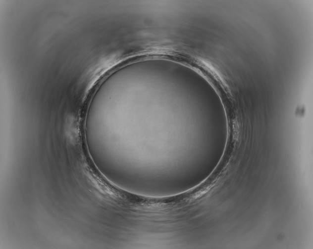X0000090781260200707201516