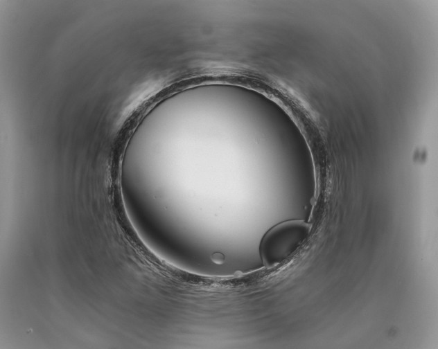 X0000090781261200707201516
