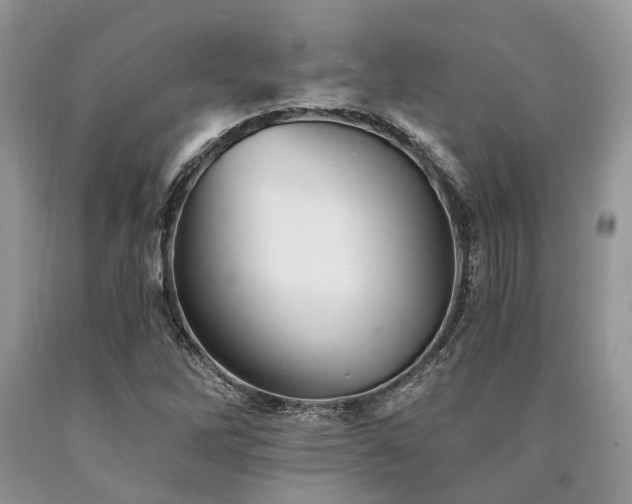 X0000090781262200707201516