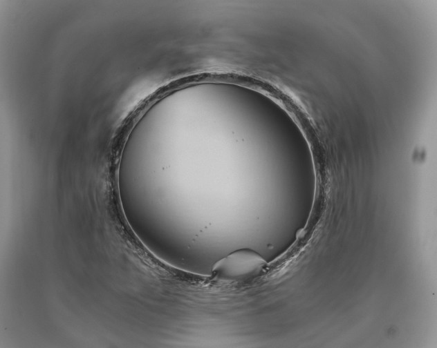 X0000090781263200707201516